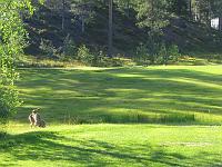 golf1 064